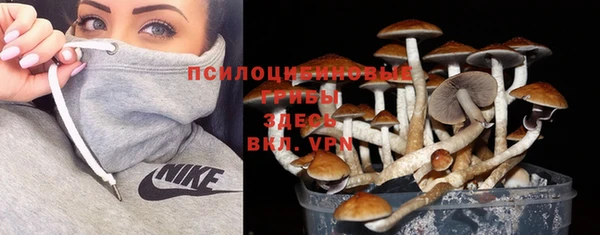 хмурый Алзамай