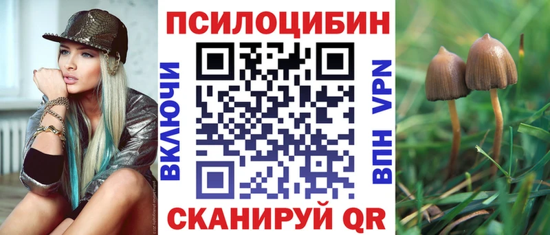 Галлюциногенные грибы Cubensis Далматово